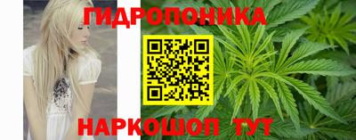 дмт Ливны
