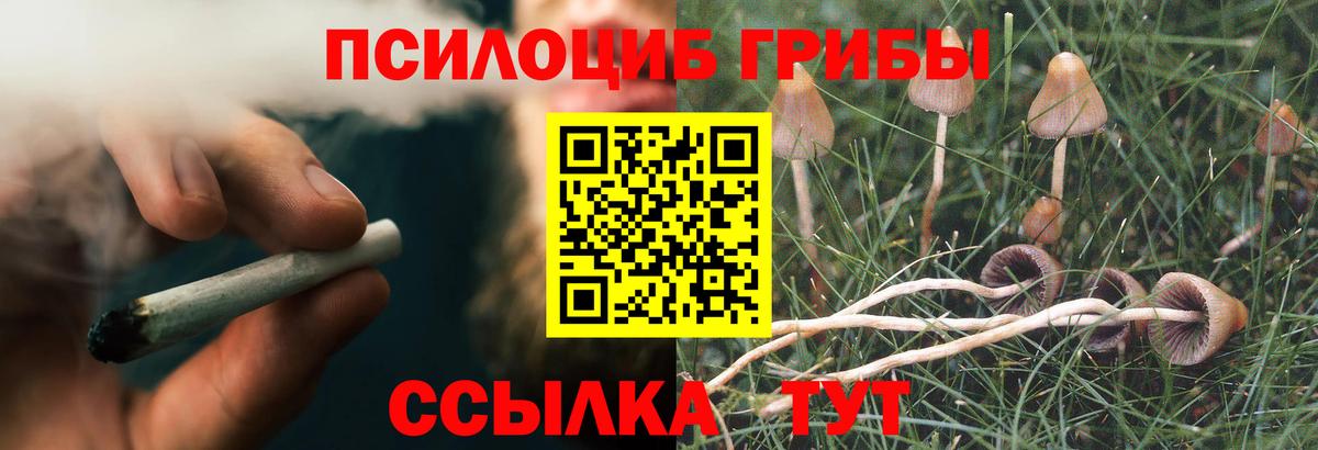 Галлюциногенные грибы GOLDEN TEACHER Джанкой