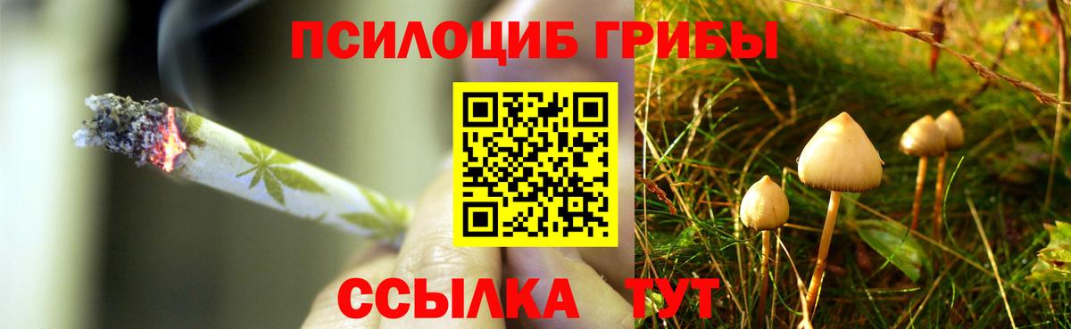 Джанкой  Псилоцибиновые грибы GOLDEN TEACHER  купить закладку  Вход с VPN  Галлюциногенные грибы Psilocybine cubensis 